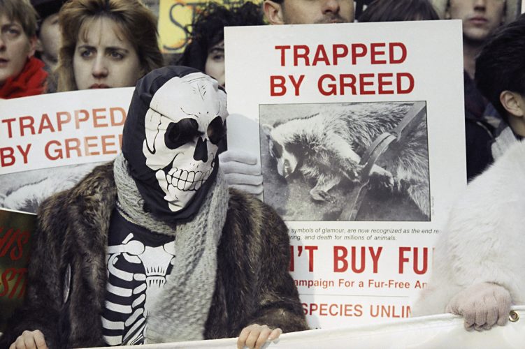 FurFree Friday News, Sports, Jobs The Express